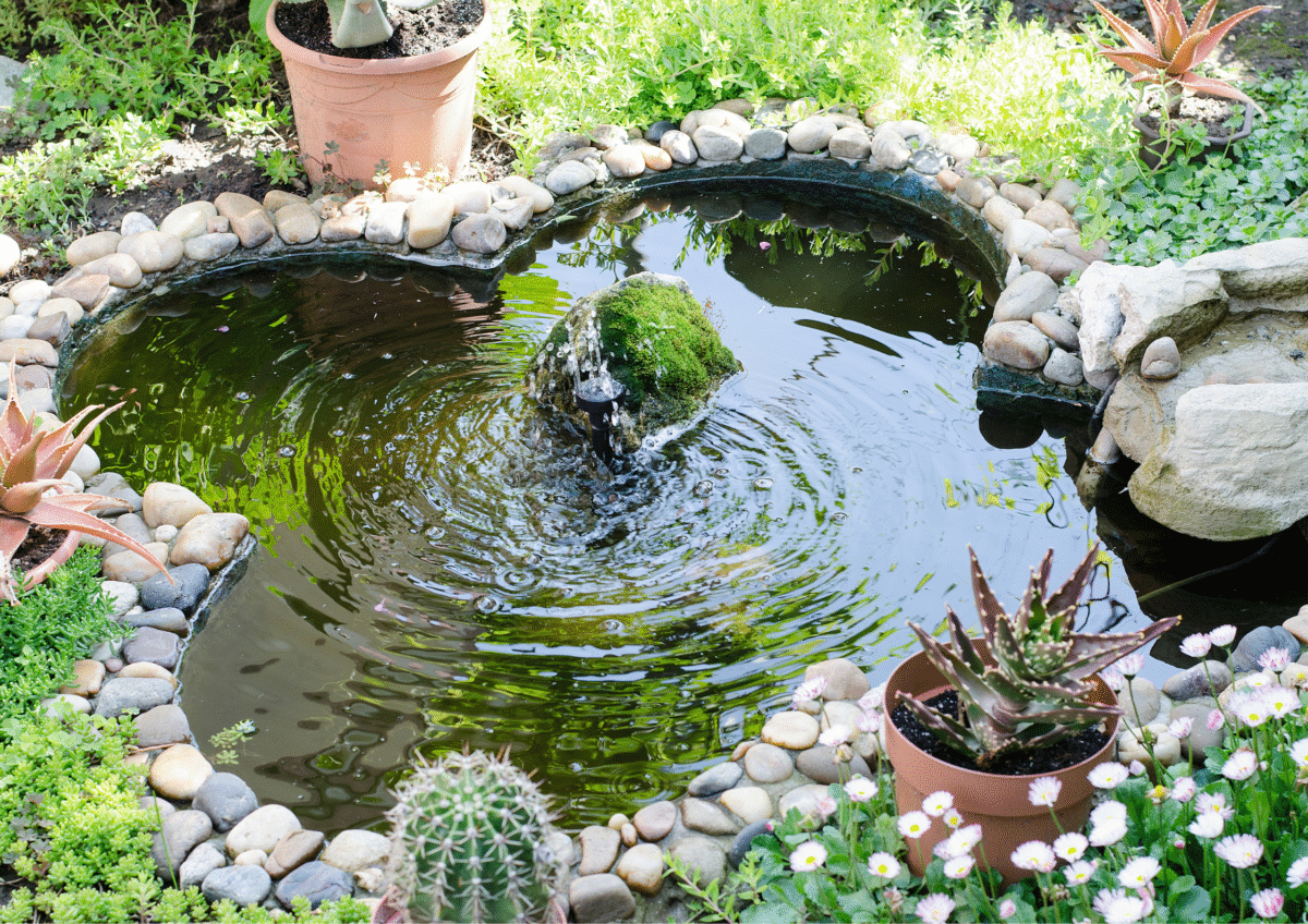 Custom Ponds