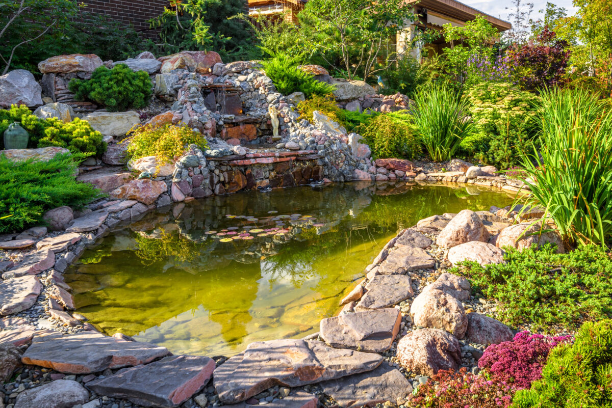custom ponds
